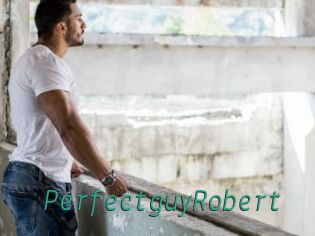 PerfectguyRobert