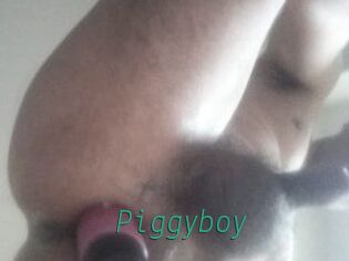 Piggyboy