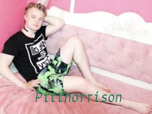 Pitthorrison