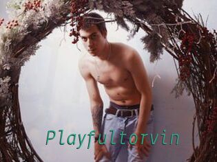 Playfultorvin