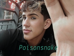 Poisonsnake