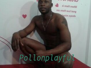 Pollonplayful