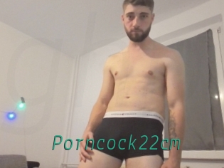 Porncock22cm