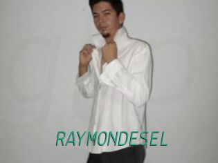 RAYMONDESEL