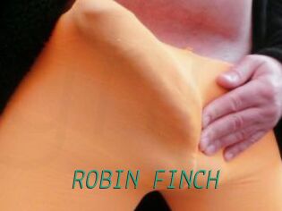 ROBIN_FINCH