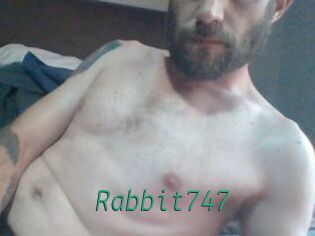 Rabbit747