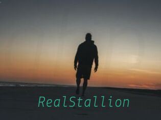 RealStallion