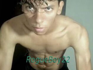 RogueBoy22