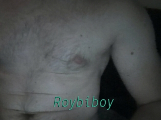 Roybiboy