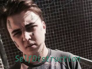 SelfDistruction