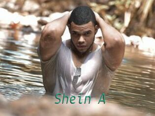 Shein_A