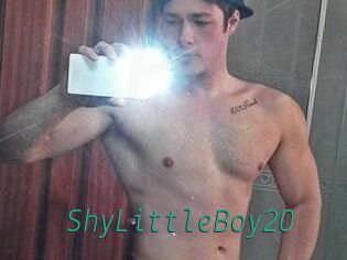 ShyLittleBoy20