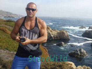 Steve_Wild