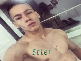 Stier