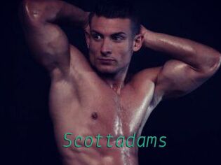 Scottadams