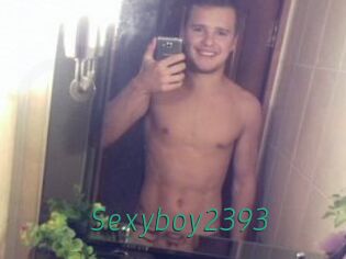 Sexyboy2393