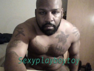 Sexyplayboytoy