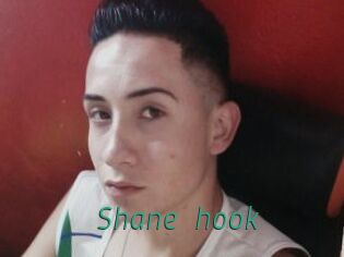 Shane_hook