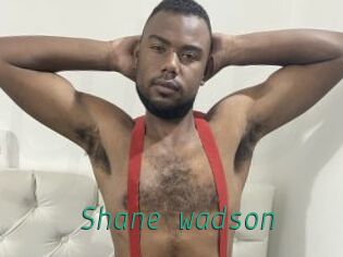 Shane_wadson