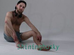 Shininghusky