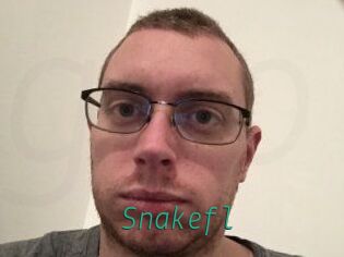 Snakefl