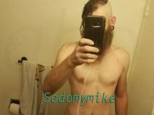 Sodomymike