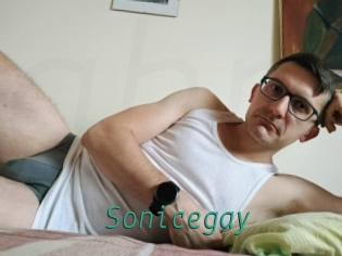 Sonicegay