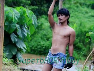 SuperbHORNYboy