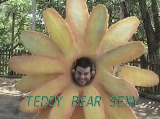 TEDDY_BEAR_SEXY