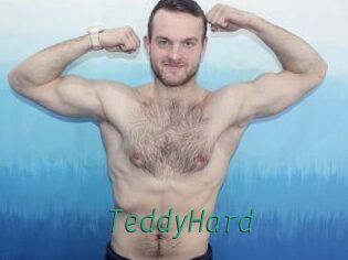 TeddyHard