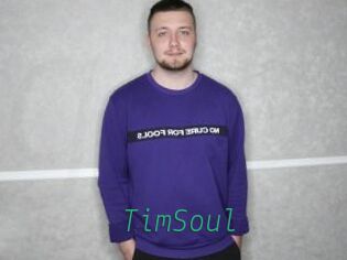 TimSoul