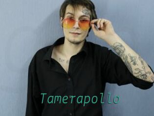 Tamerapollo