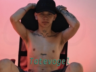 Tatevogel