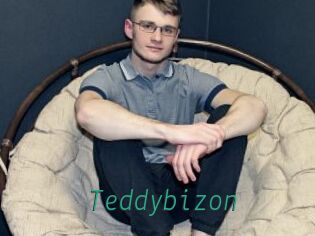 Teddybizon