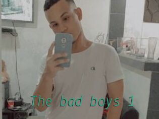 The_bad_boys_1