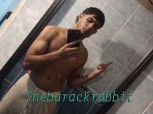 Thebarackrabbit