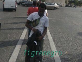 Tigrenegro