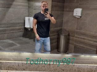 Todhorny987