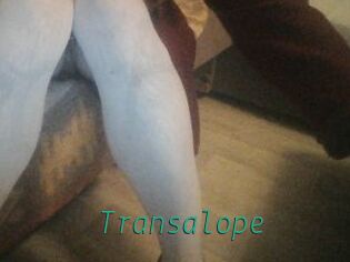 Transalope