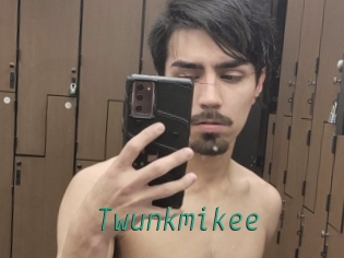 Twunkmikee