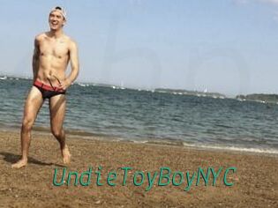 UndieToyBoyNYC