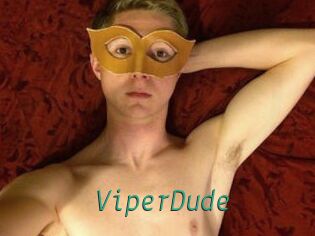 ViperDude