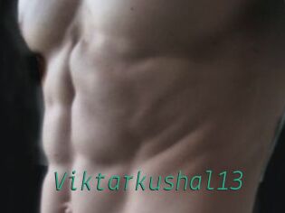 Viktarkushal13