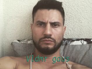 Vldmr_gaus