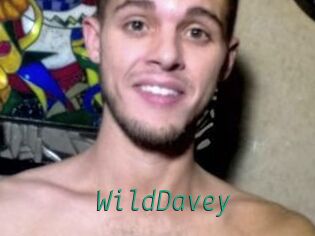 WildDavey