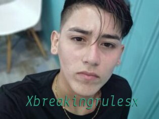 Xbreakingrulesx