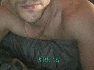 Xebra