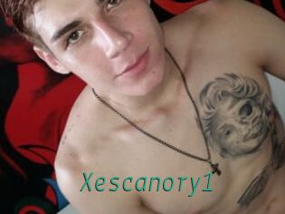 Xescanory1