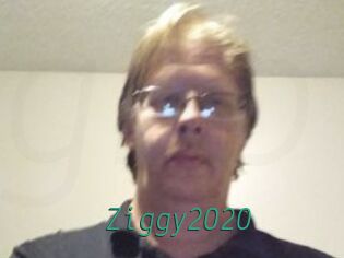 Ziggy2020