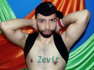 Zevit